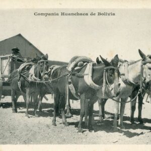 Bolivia Mule Carts Huanchaca Company