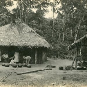 Bolivia Beni Rubber Plant Centre