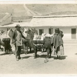 Bolivia Indigenous Family and Llamas photocard