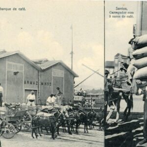 Brazil Santos Coffee Shipment and Man with 5 sacks ed Pontes