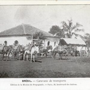 Brazil Transport Convoy Missionary postcard