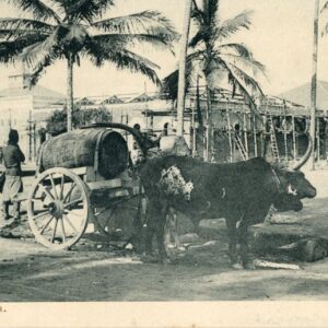 Brazil Public Fountain Ox Cart