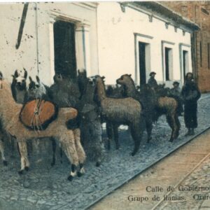 Bolivia Oruro Gobierno Street Llamas 1914 to France