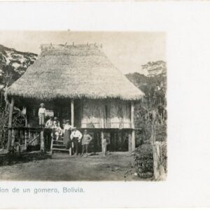 Bolivia Rubber Plant Habitat 1918
