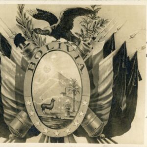 Bolivia Coat of Arms photocard 1911 to Hamburg