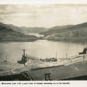 Peru Morococha Lake Llamas Onloading Ore