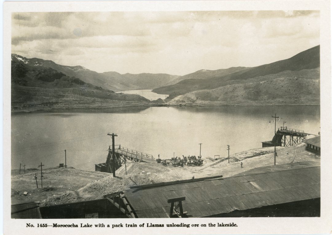 Peru Morococha Lake Llamas Onloading Ore