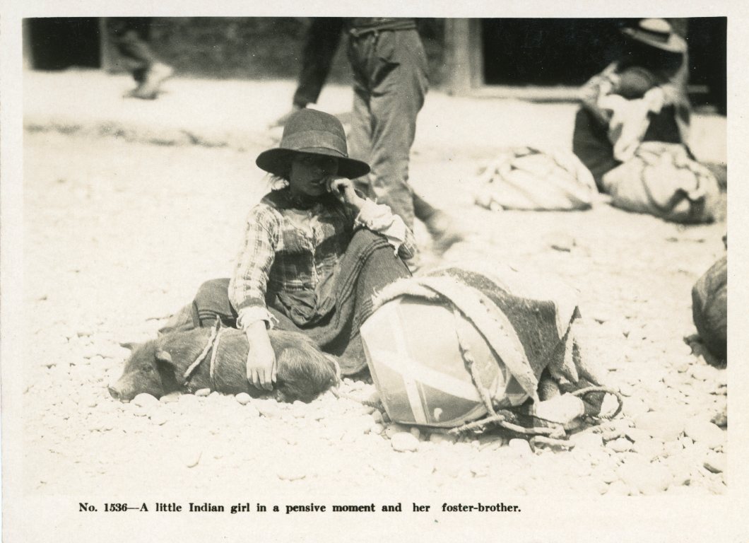 Peru Indigenous Girl and Pig on street