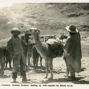 Peru Llamas Herders Loading Supplies for Mines