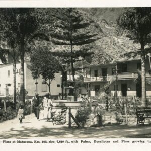 Peru Plaza at Matucan Palms Eucalyptus Pines