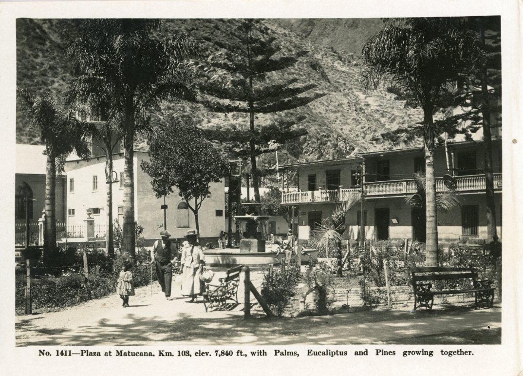 Peru Plaza at Matucan Palms Eucalyptus Pines