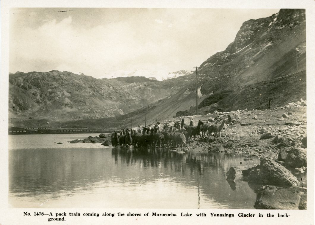 Peru Morococha Lake Yanasinga Glacier Llama train