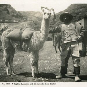 Peru Llamero Llama Herder