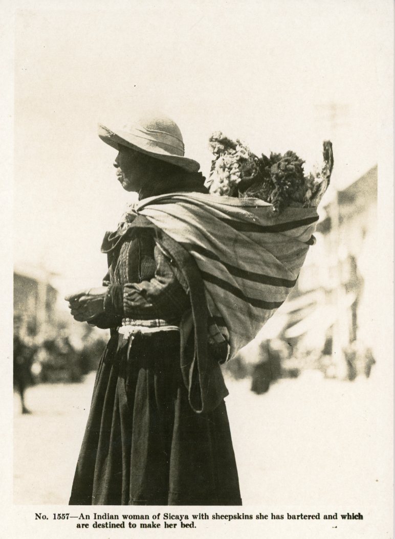 Peru Sicaya Indigenous Woman carrying Sheepskin