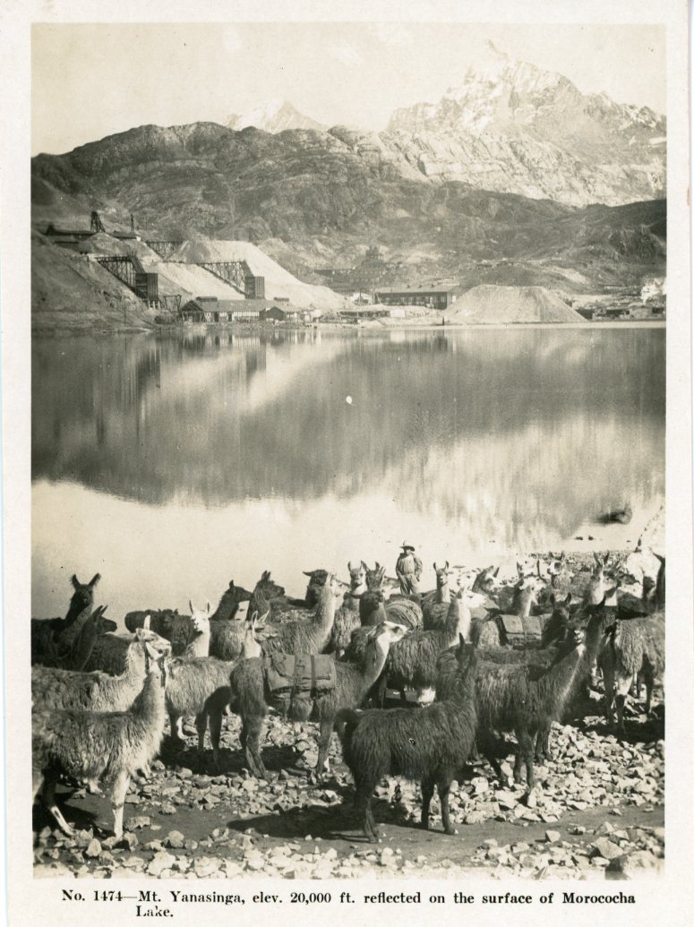 Peru Yanasinga Mountain Morococha Lake Llamas