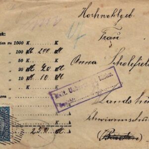 1917 Austria Censored Money Envelope to Landshut