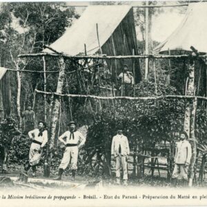 Brazil Parana Preparing Mate Deep Chimarrao in Forest