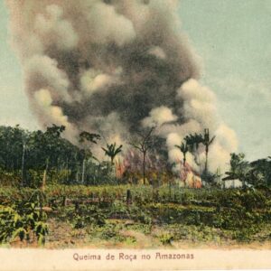 Brazil Burning Cultivation Amazonas