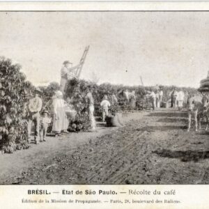 Brazil Sao Paulo Coffee Harvest missionary card