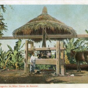 Brazil Sugarcane Grinding Mill 1911 to Germany