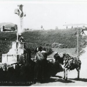 Peru Cusco Roadside Cross Local with Donkey