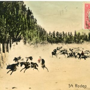 Chile Rodeo photocard 1913 to France