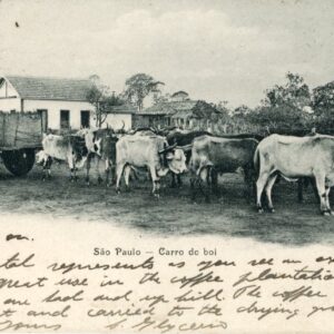 Brazil Sao Paulo Ox Cart 1903 to London