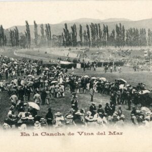 Chile Vina del Mar Hippodrome Horse Racing