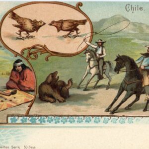 Chile Hunting Cockfighting Folklore ed Knopf Erben