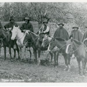 Chile Araucanos on Horseback photocard