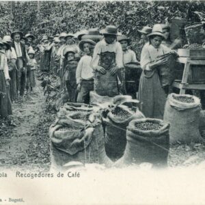 Colombia Coffee Harvesters