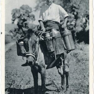 Costa Rica Dairy Milk seller on Mule