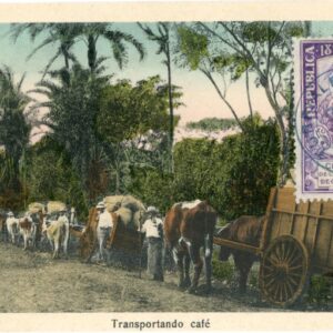 Costa Rica Coffee Transport with Ox Carts