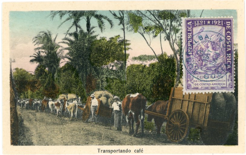 Costa Rica Coffee Transport with Ox Carts
