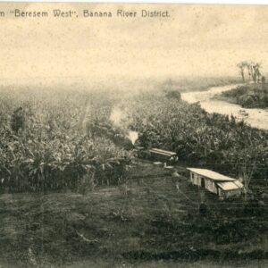 Costa Rica Banana Farm Bereset West