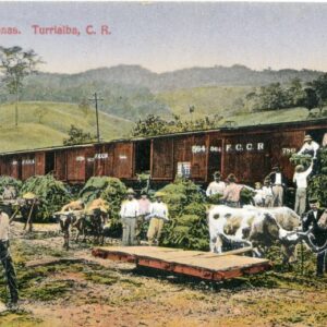 Costa Rica Turrialba Loading Bananas to Train