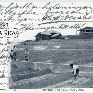 Costa Rica San Jose Drying Coffee