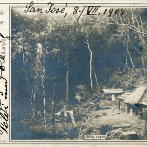 Costa Rica Forest 1904 San Jose to Vienna