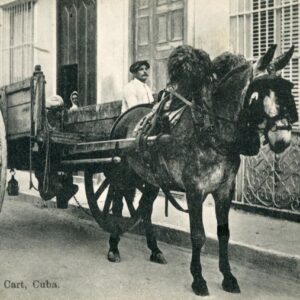Cuba Tobacco Cart