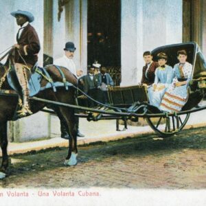 Cuba Volanta Horse Carriage