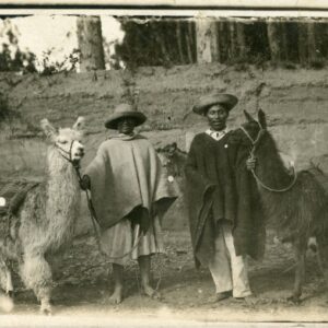 Ecuador Indigenous People and Llamas