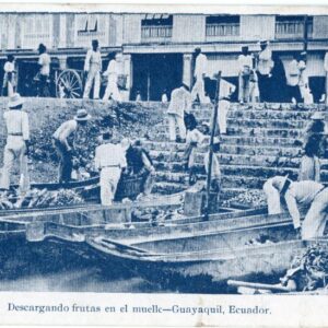Ecuador Guayaquil Unloading Fruit Advertising Card Netherlands