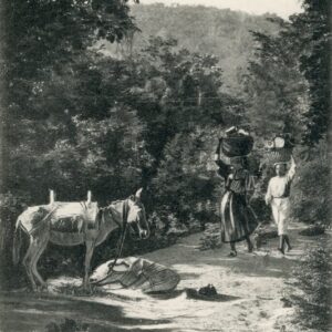 Haiti Locals and Donkey to Market
