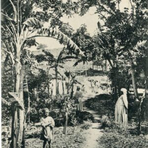 Haiti Mont Fleury 1920 to Switzerland