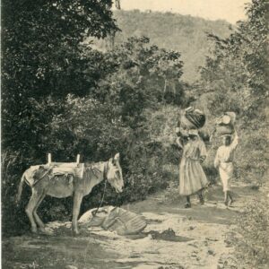 Haiti Locals and Donkey to Market ed Pharmacie Centrale