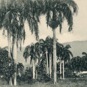 Haiti Port au Prince 1910 to Philadelphia USA