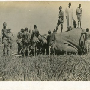 Uganda Kenya Locals with Dead Elephant photocard