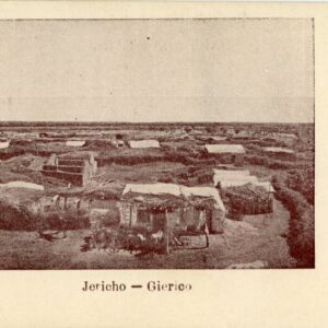 Palestine Jericho postcard