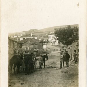 Serbia Negotin Main Street 1915
