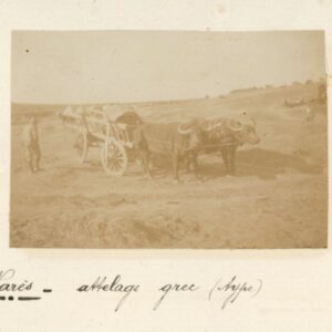 Greece Nares Nea Filadelfia Greek Bullock Cart 1916